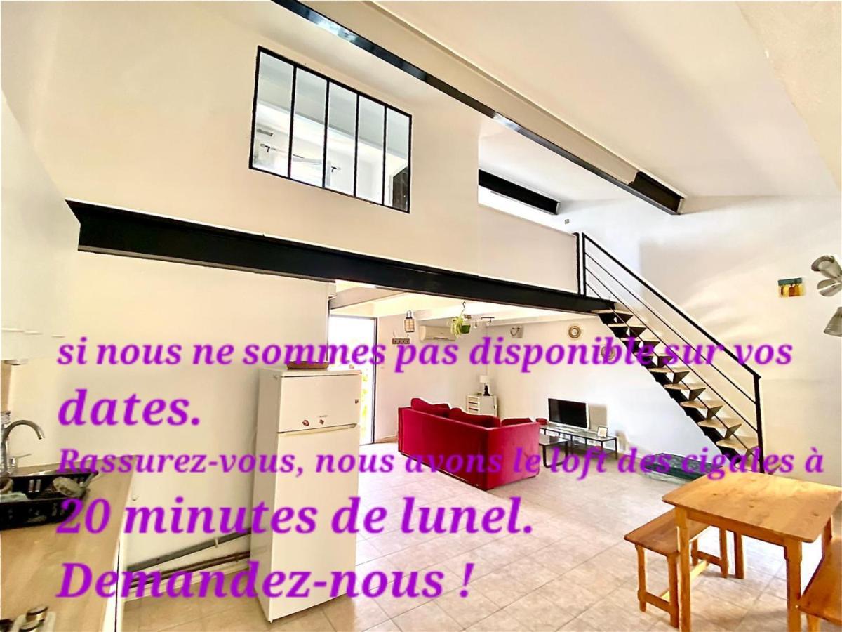 Loft Ambrussum, Jacuzzi, Jardin,Bbq Villa Lunel  Buitenkant foto